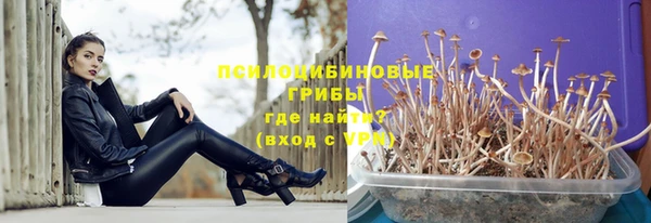 меф Касимов